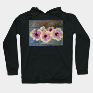 Hibiscus Beauties Hoodie